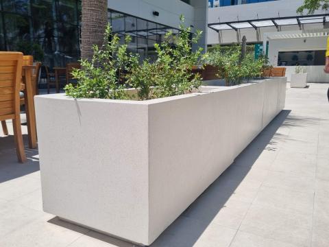 poolside planter, concrete planter