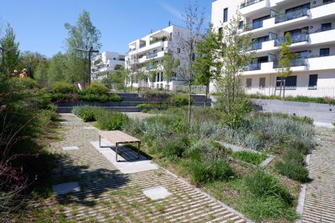 PARC CENTRALE - CHATENAY MALABRY