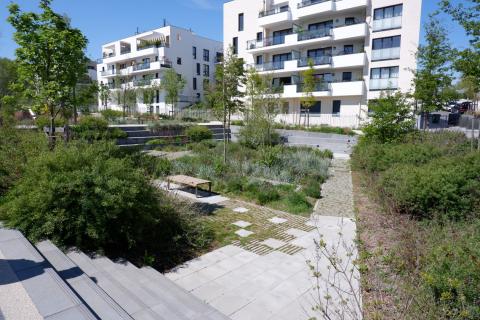 PARC CENTRALE - CHATENAY MALABRY